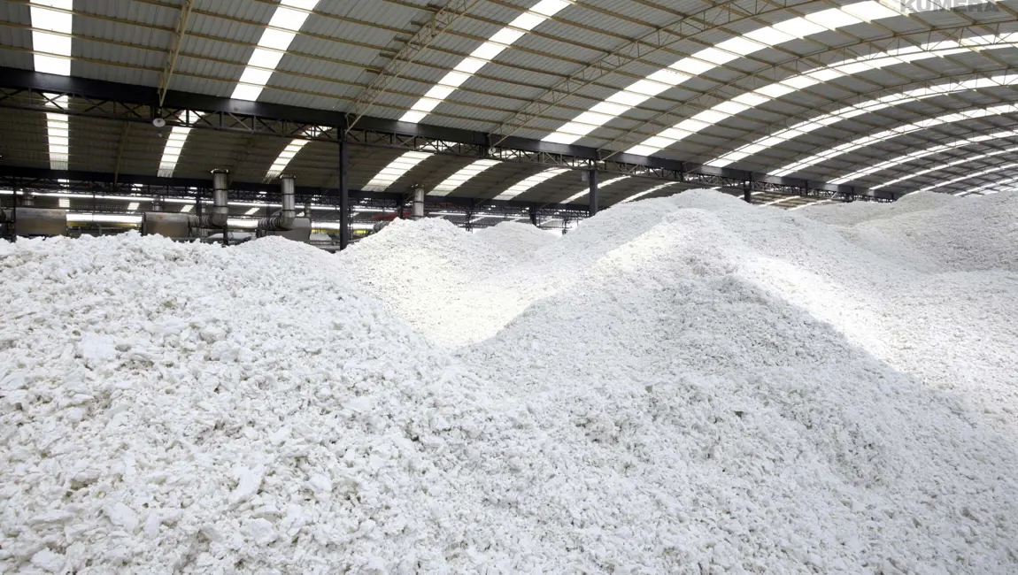 Kumera Drives for Pulp & Paper and Wood Yards. Kumera offers the world class solutions for all wood, pulp and paper processing industry applications. Starting from small conveyor drives to the largest high power chippers and customized integrated roll drives.