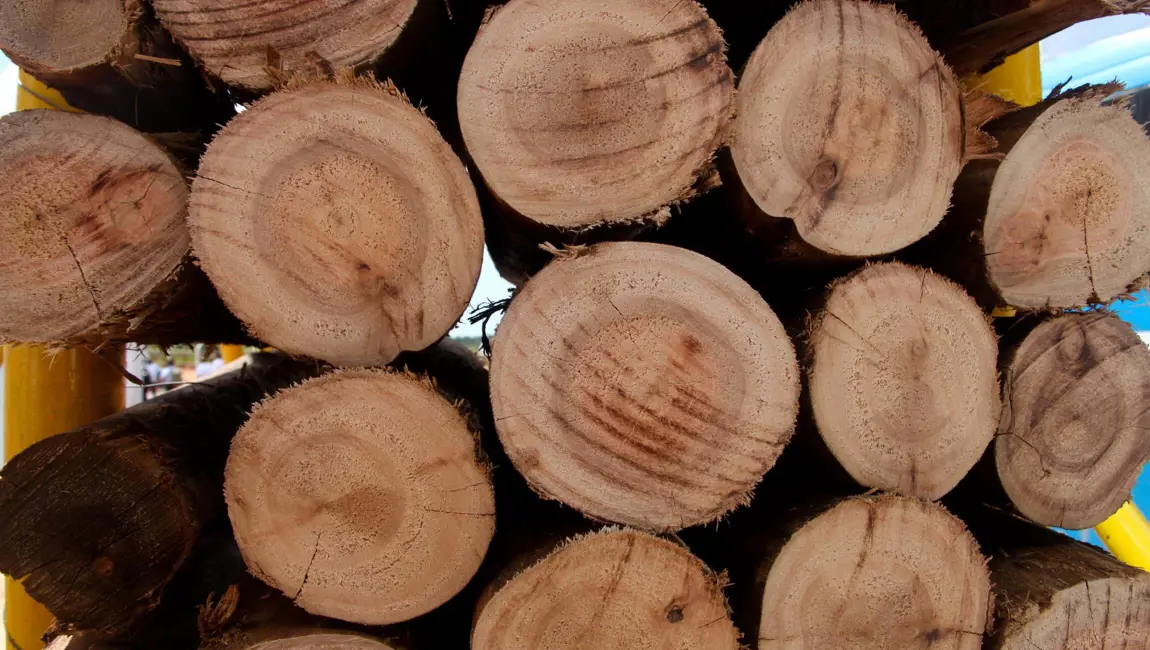 Kumera Drives for Pulp & Paper and Wood Yards. Kumera offers the world class solutions for all wood, pulp and paper processing industry applications. Starting from small conveyor drives to the largest high power chippers and customized integrated roll drives.