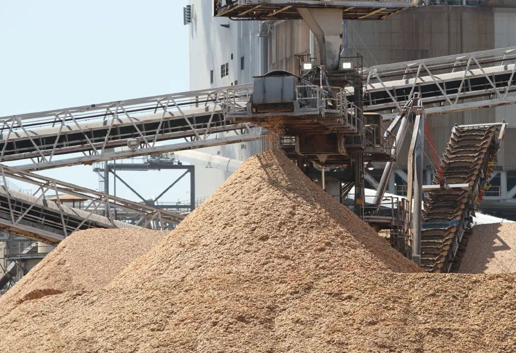Pulp, Paper & Wood Handling | Kumera Corporation