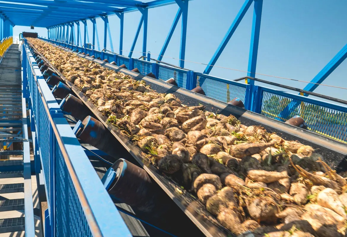 Kumera - Sugar processing drives - 4